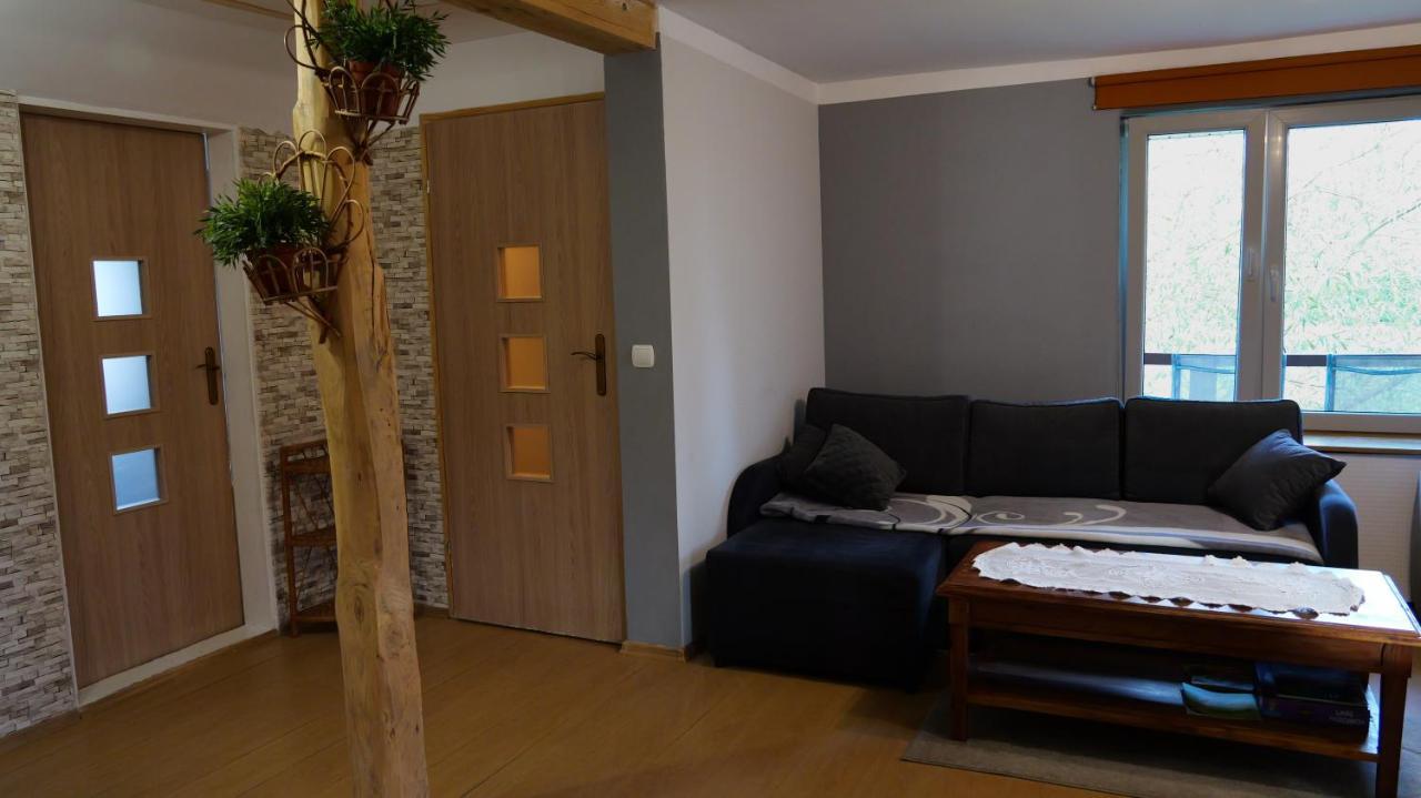 Apartamenty Lucky-Ski Ustrzyki Dolne Exterior photo